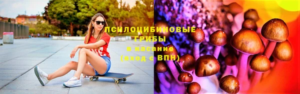 молекула духа Белокуриха