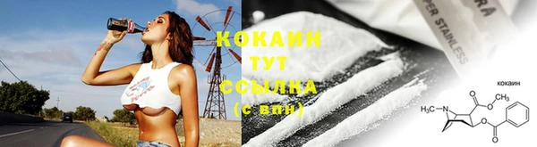 молекула духа Белокуриха