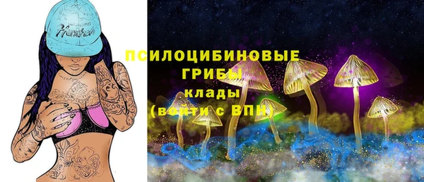 дурь Богородицк