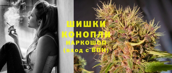 apvp Богданович