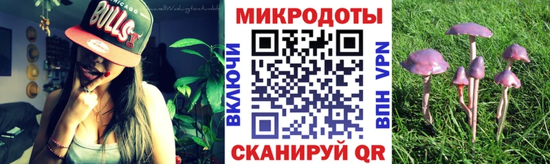закладка  Вышний Волочёк  Галлюциногенные грибы GOLDEN TEACHER 